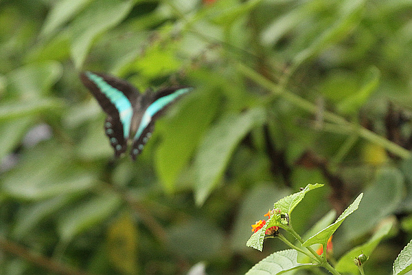 2010_10_07_0941.jpg