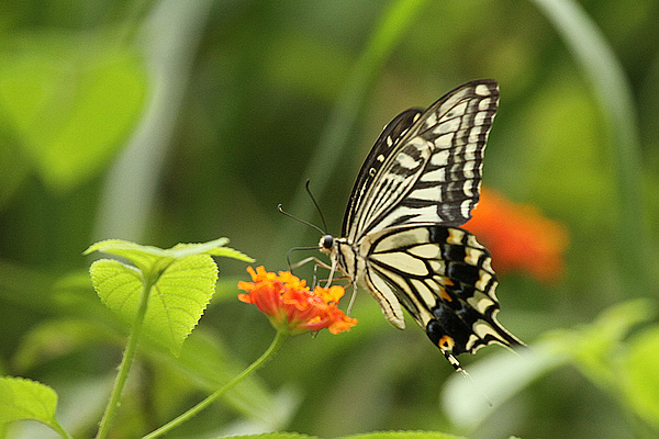 2010_10_07_1013.jpg