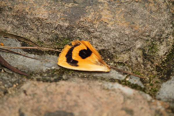 2010_10_07_0653.jpg