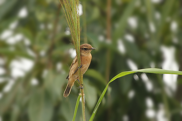 2010_10_07_0465.jpg