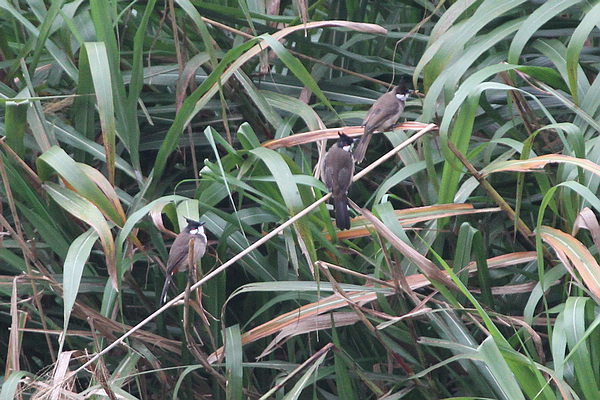 2010_10_07_0187.jpg