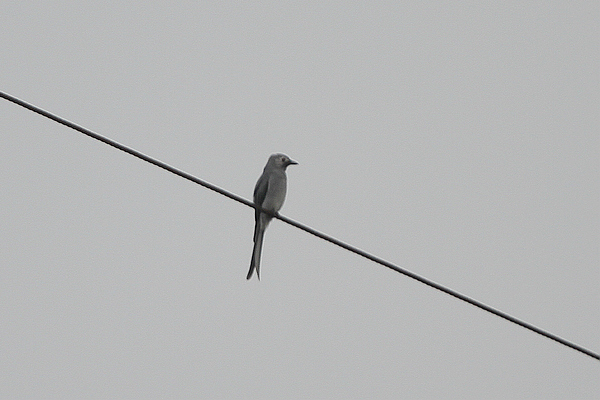 2010_10_07_0256.jpg