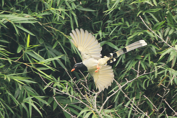 2010_10_07_0607.jpg