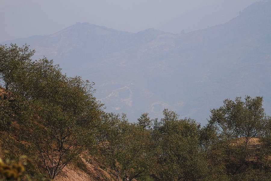 IMG_4237.jpg