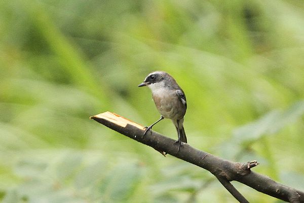 2010_10_10_10.jpg