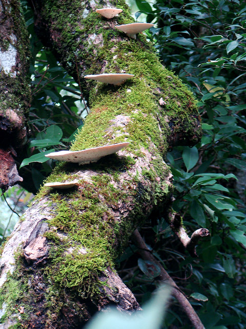 DSC04892.JPG