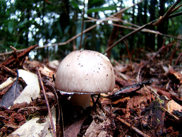 DSC04949.JPG