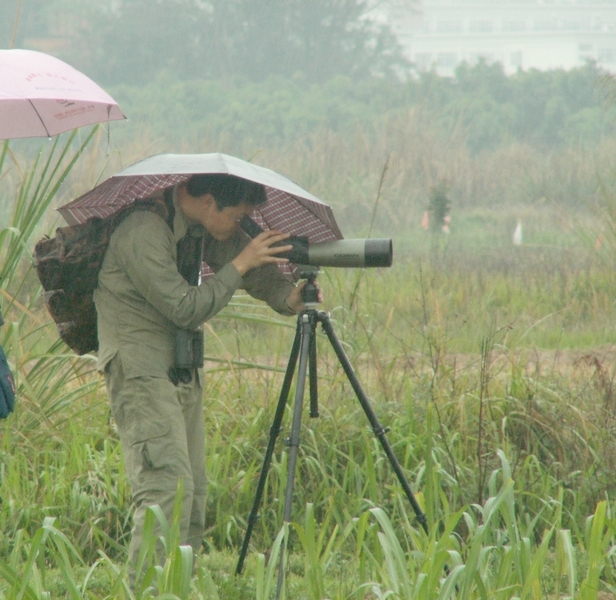 PICT0984-1.jpg