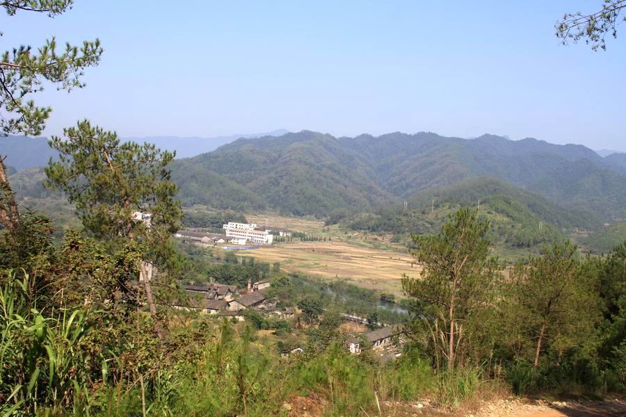 cIMG_8133.jpg