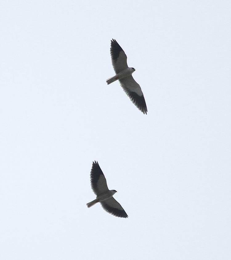 IMG_5414.jpg
