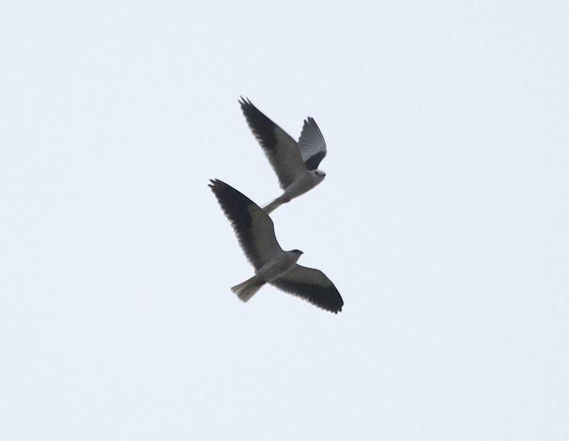 IMG_5420.jpg