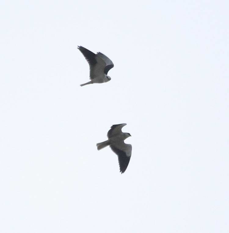 IMG_5416.jpg