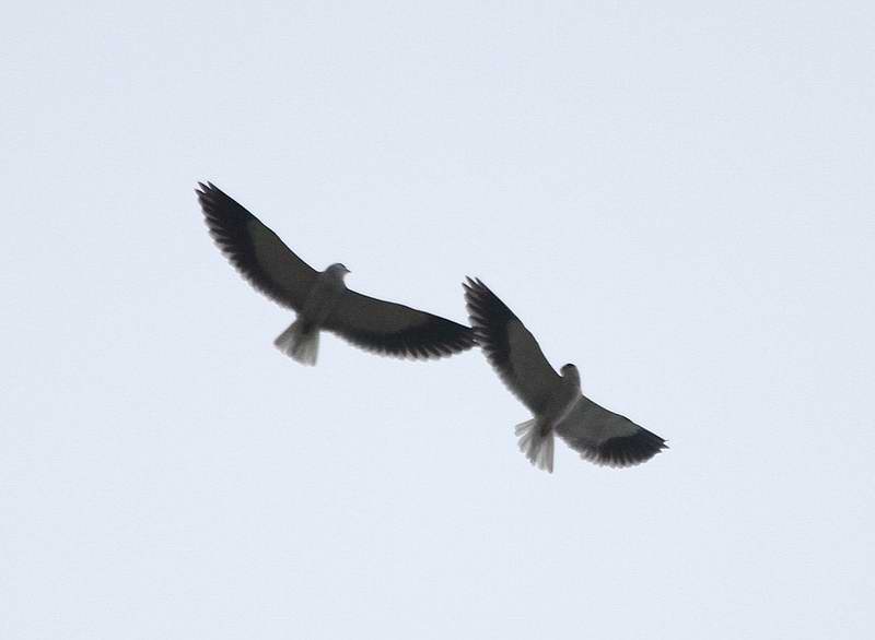 IMG_5440.jpg
