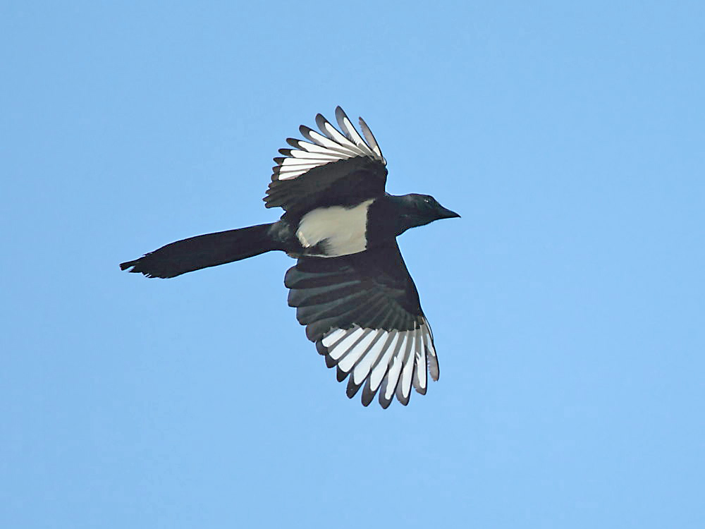 DPP_4412-1.jpg