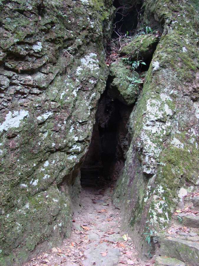 DSC05923.jpg