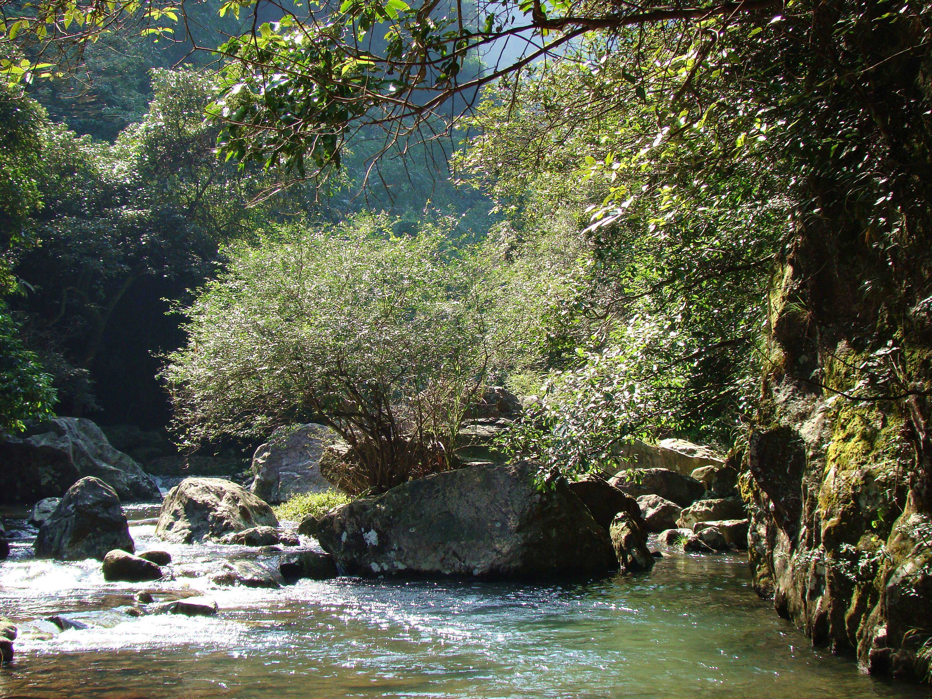 DSC06023.jpg