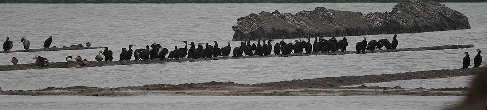 IMG_6194.jpg