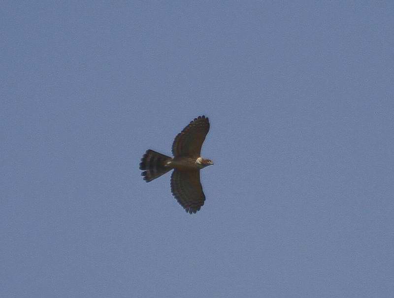 IMG_6904.jpg