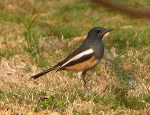IMG_0003.jpg