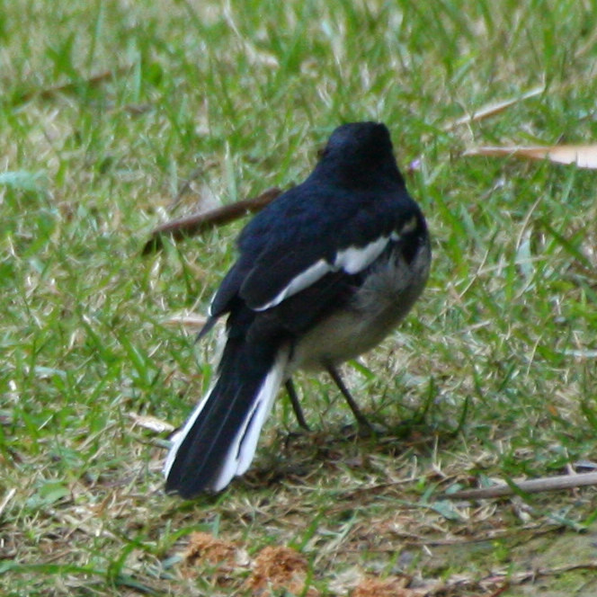 IMG_0031.jpg