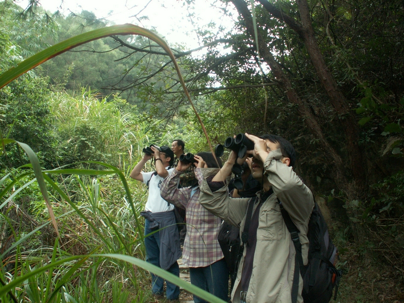 PICT2823.JPG