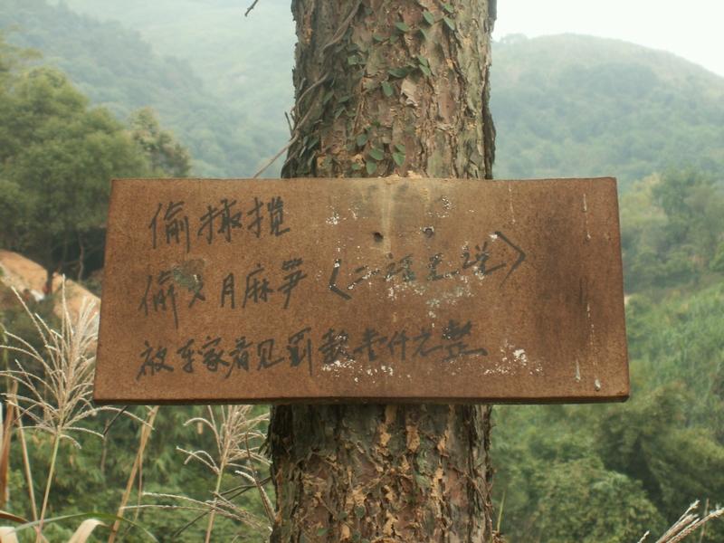 PICT2829.JPG