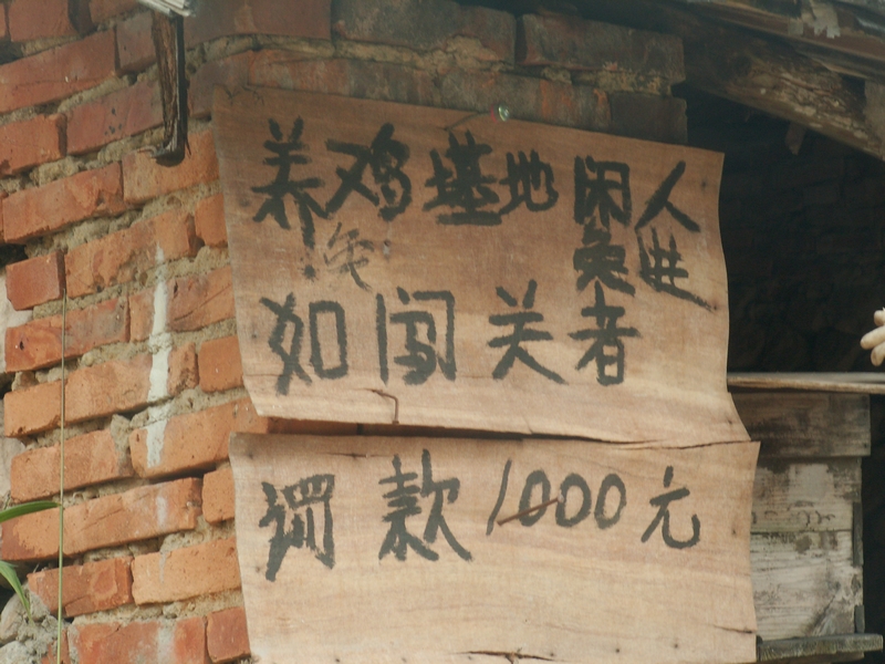 PICT2884.JPG