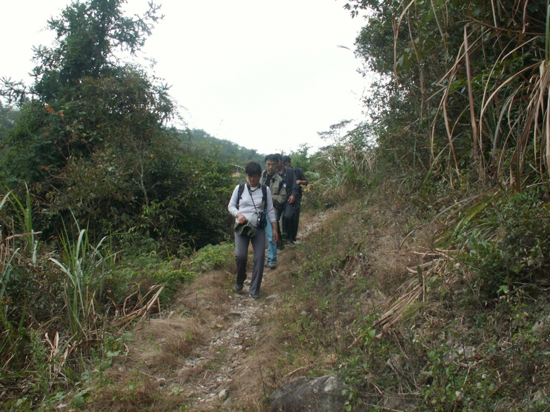 PICT2900.JPG