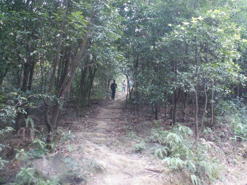 PICT2907.JPG