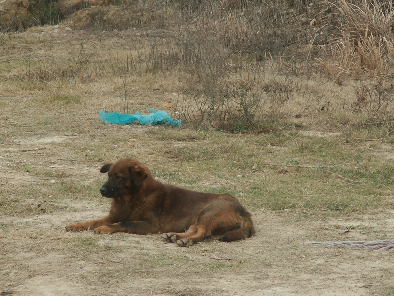 PICT2892.JPG