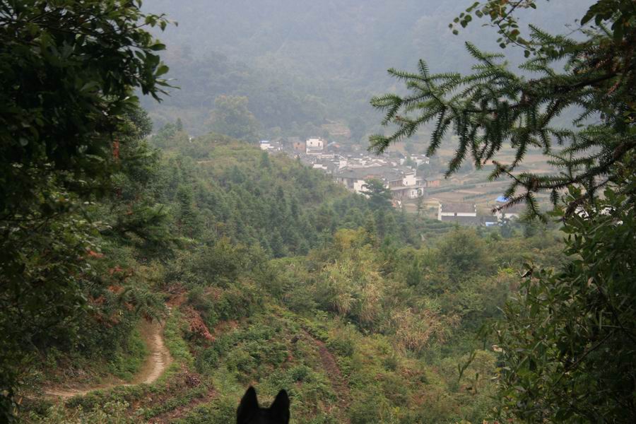 С wu 033.jpg