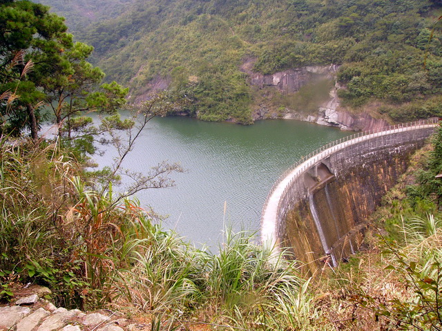 P1260069A.jpg