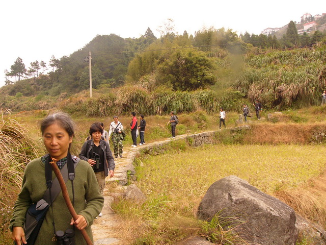 P1260073A.jpg