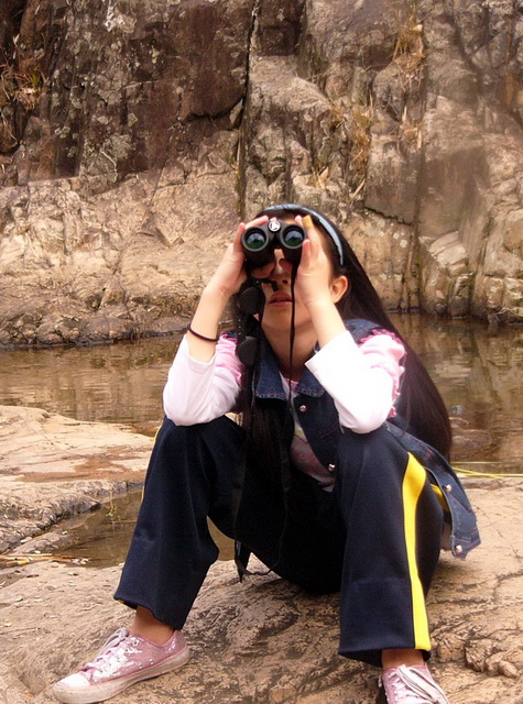P1260081A.jpg