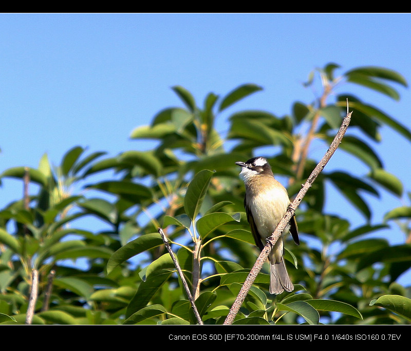 IMG_5933.jpg
