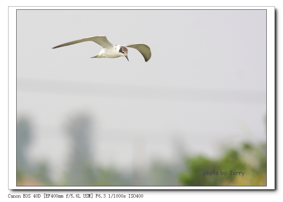 IMG_2100_nEO_IMG.jpg