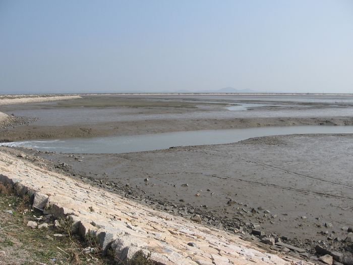 2010.11.21.3.jpg