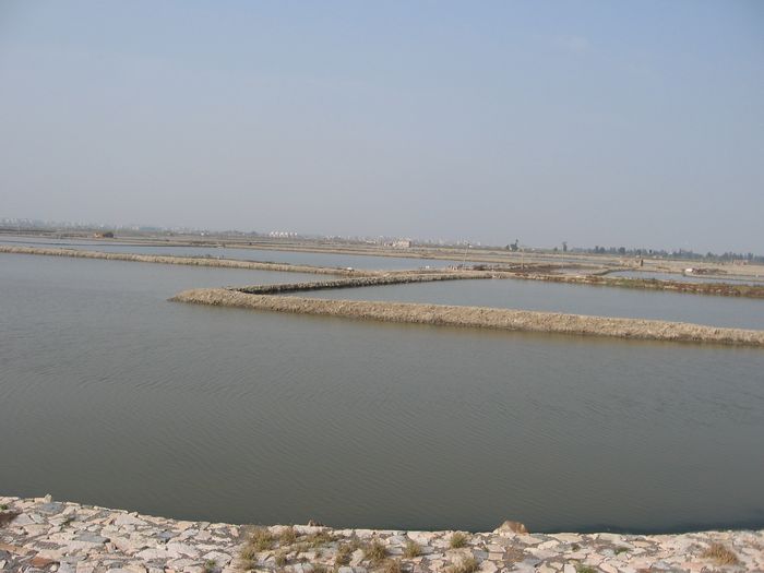 2010.11.21.2.jpg