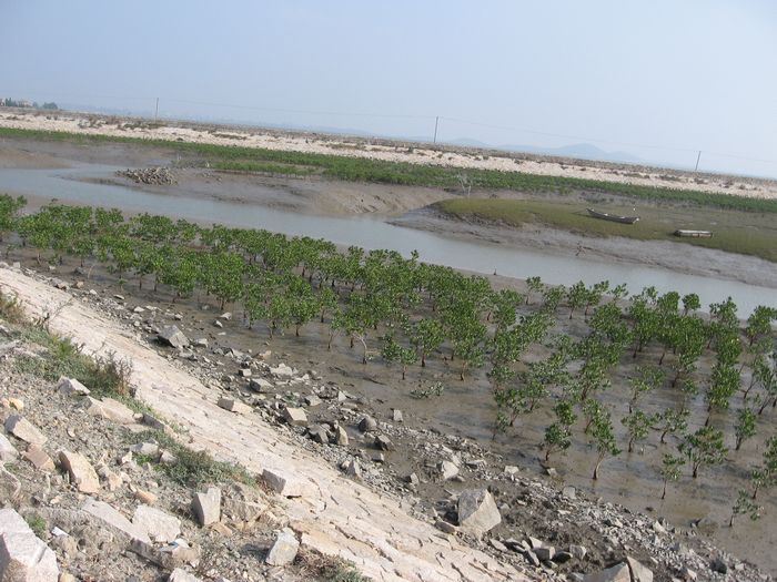 2010.11.21.7.jpg
