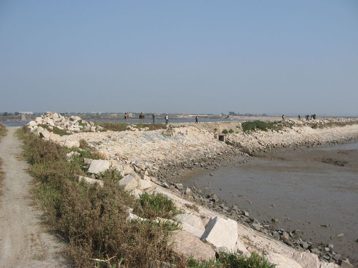 2010.11.21. 4.jpg
