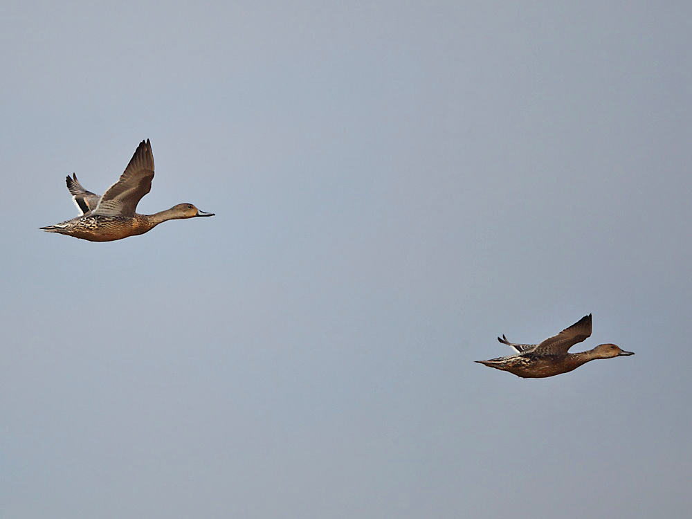 DPP_4653-1.jpg
