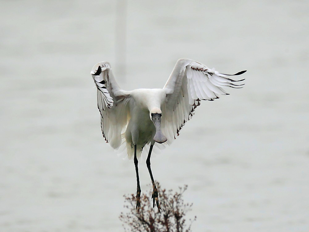 DPP_4454-1.jpg