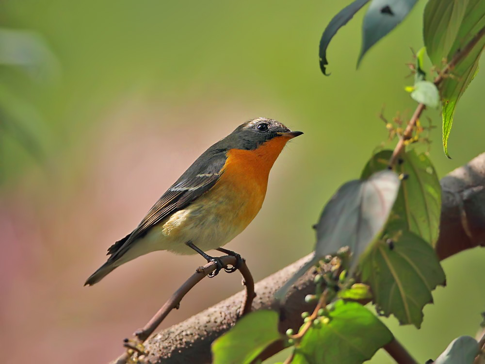 DPP_4558-1.jpg