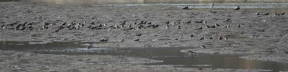 IMG_9555.jpg