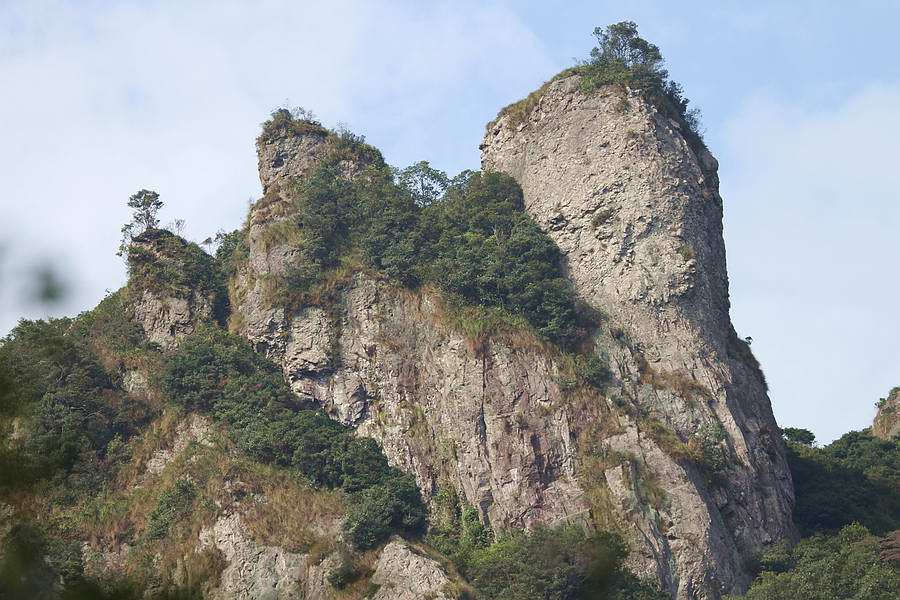 IMG_8794.jpg