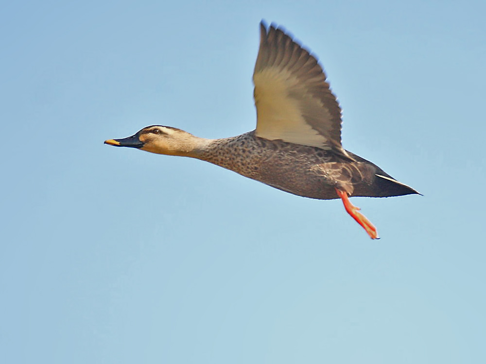 DPP_4663-1.jpg