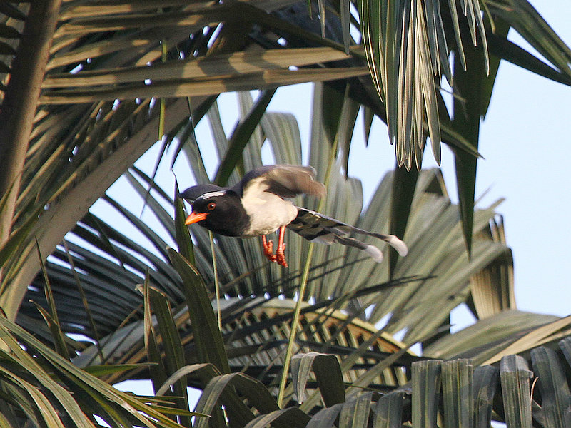 2010_12_04_0004.jpg