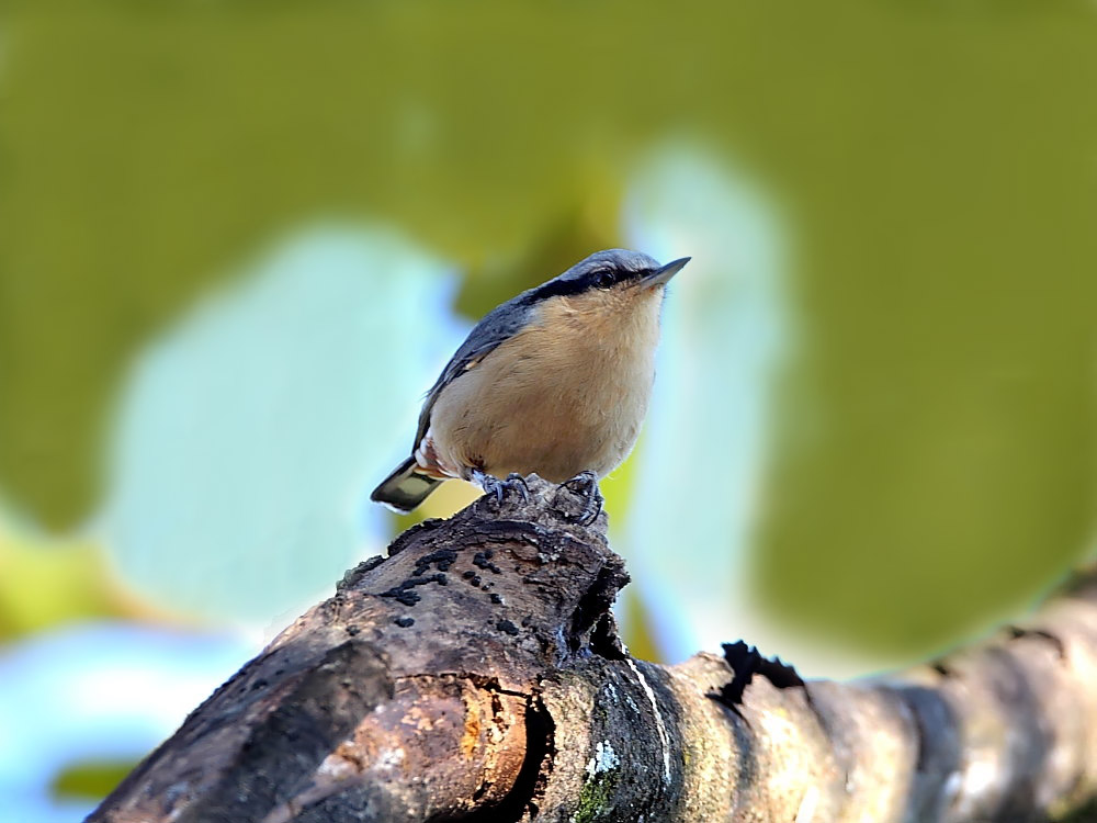 DPP_4736-3.jpg