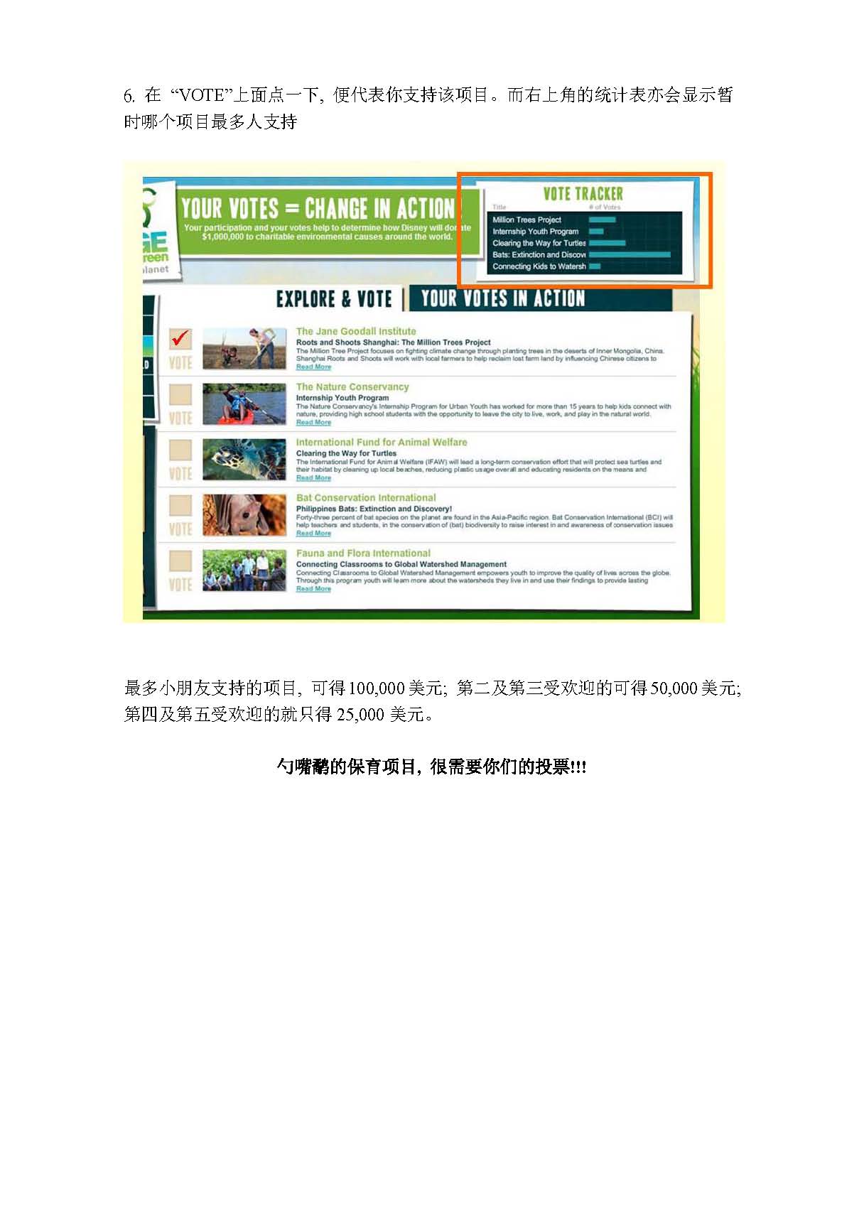 FFC_voting_guide_ҳ_3.jpg