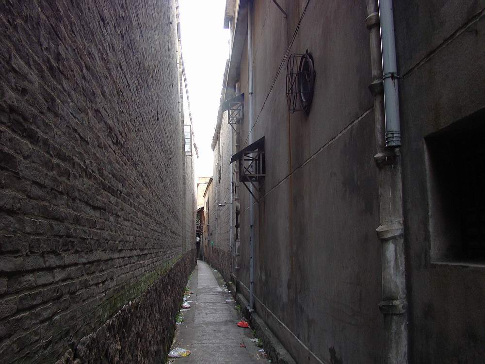 DSC06205.jpg